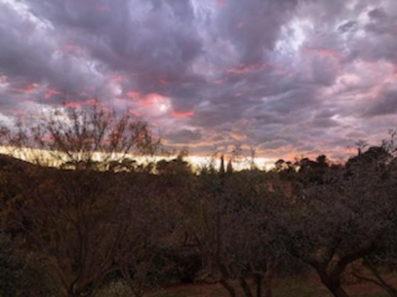 Bastide Saint Bernard Bed & Breakfast Le Thoronet Exterior photo