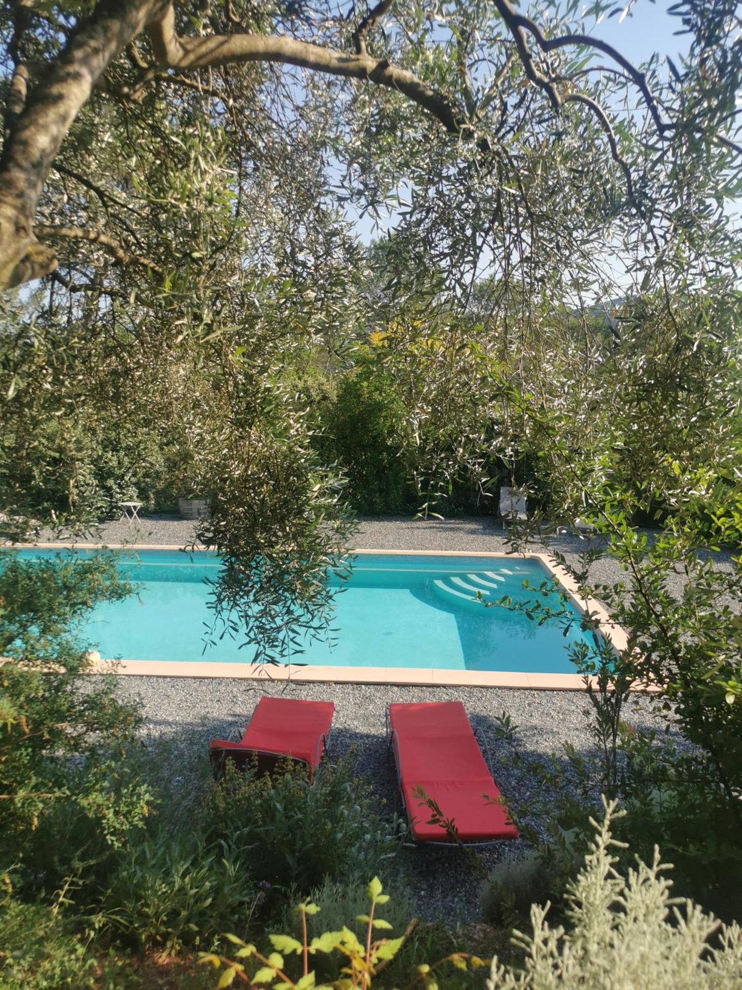 Bastide Saint Bernard Bed & Breakfast Le Thoronet Exterior photo