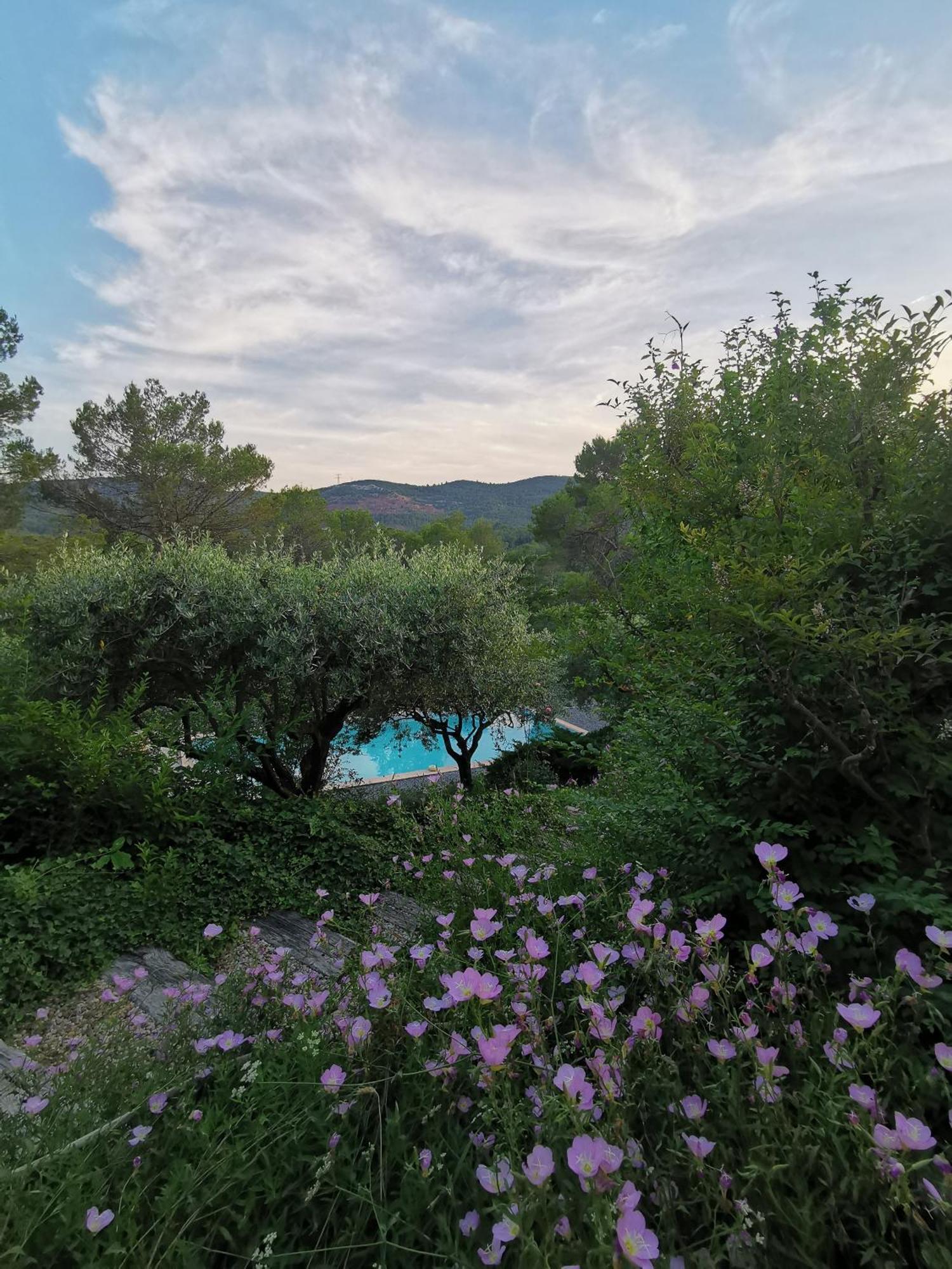 Bastide Saint Bernard Bed & Breakfast Le Thoronet Exterior photo